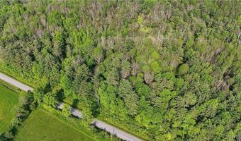 00 Lamont Rd, Angelica, NY 14709
