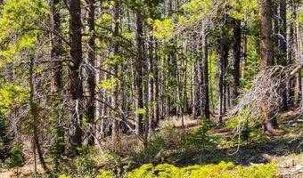 715 Lewsader Rd Lot 0, Alma, CO 80420