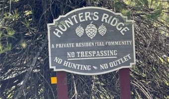 Lot # 70 Tall Tree Lane, Banner Elk, NC 28604