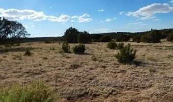 23 Co Rd 8021, Concho, AZ 85924
