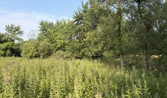9653 52nd Ave, Allendale, MI 49401