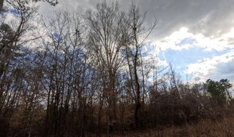 Saint John Road, Braxton, MS 39044