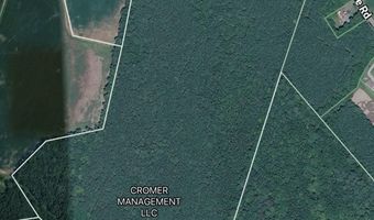 51 Acres W PINEY GROVE Rd De, Georgetown, DE 19947