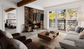 131 E Durant Ave 202, Aspen, CO 81611