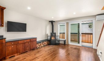 720 W Hopkins Ave Unit D, Aspen, CO 81611