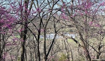 577 Schluersburg Rd, Augusta, MO 63332