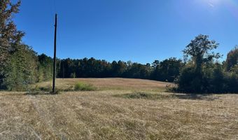 Clara Foote Road, Braxton, MS 39044