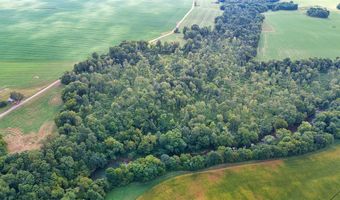 13 93 Acres Conn Rd, Adairville, KY 42206