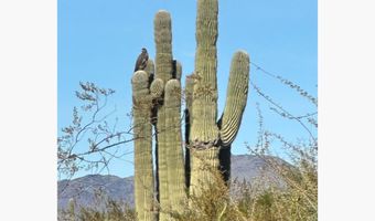 0 N CAVE CREEK Rd, Carefree, AZ 85377