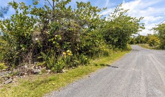 15-925 LEMIWAI Rd, Keaau, HI 96749