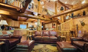 6402 Rustic Pine Trl, Alanson, MI 49706