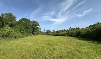 81 1+/- AC Old River Rd, Baker, FL 32531
