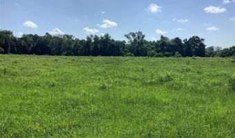 0000 Old Plain Dealing Rd, Benton, LA 71006