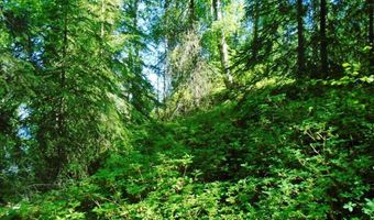 Tr A W No Road, Big Lake, AK 99652