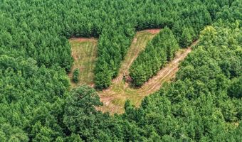 Harry Priddy Road, Americus, GA 31719
