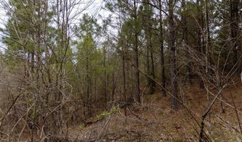 Tbd Pump Station Rd, Ashdown, AR 71822