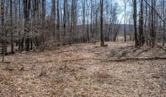 7985 ROCK LODGE Rd, Accident, MD 21520
