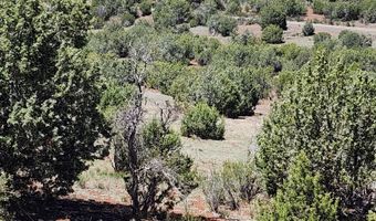 Lot 30 Off Old Hwy 66, Ash Fork, AZ 86320