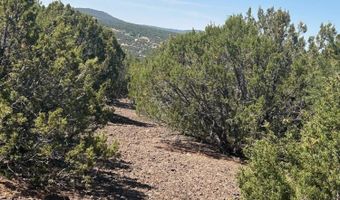 Lot 11 Uphill Trail 11, Vernon, AZ 85940