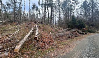 99999 Big Rock Creek Dr, Bakersville, NC 28705