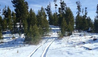 NHN Herring Flats Road, Anaconda, MT 59711