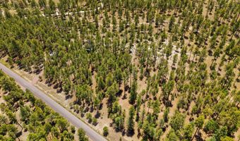 98 County Road 2266, Alpine, AZ 85920