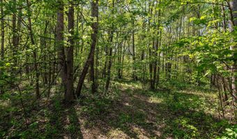 110 Keller Rd, Afton, TN 37616