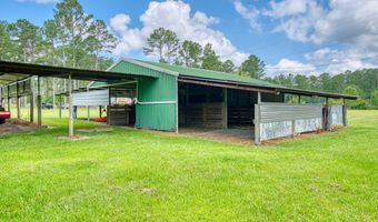 634 Alapaha River Dr, Alapaha, GA 31622