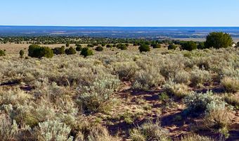 River Meadows Ranch Unit 3 Lot 204, Concho, AZ 85924