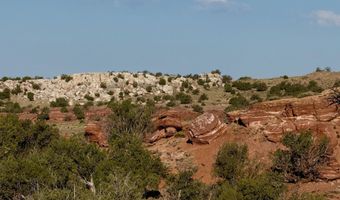 105 County Road N9328, Concho, AZ 85924