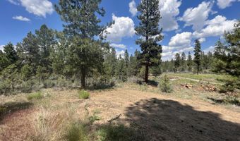 Bufflehead Drive, Bonanza, OR 97623