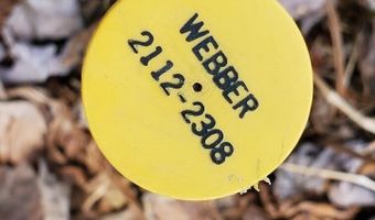 Cone Road lot # 2, Amity, ME 04471