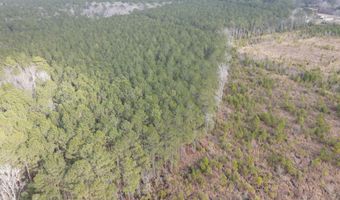 Tbd Highway 461, Ahoskie, NC 27910