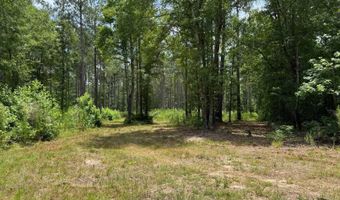 Fox Paw Court, Branchville, SC 29432