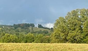 1307 Route Af, Ava, MO 65608