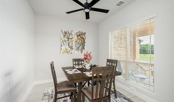 1117 Birdsong Trl, Anna, TX 75409