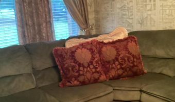 321 Luckey Rd, Bishopville, SC 29010
