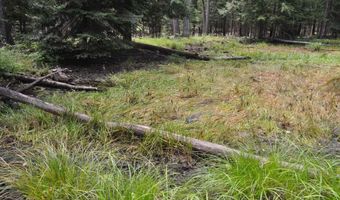 Nna 196 Acres Hwy 95, Bonners Ferry, ID 83805