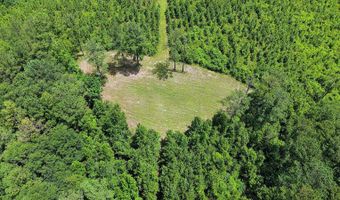 County Road 25, Banks, AL 36005