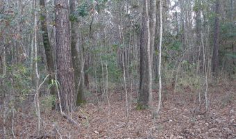 5563 Mauss Hill Rd, Adams Run, SC 29426