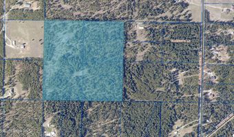28801 N LEWELLEN CREEK Rd, Athol, ID 83801