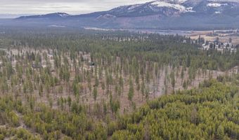 L5 B1 Wallace Lane, Blanchard, ID 83804