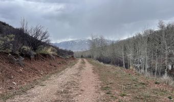 777 RICHARDSON CREEK Rd, Afton, WY 83110