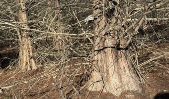 6075 Curtis Rd, Batesville, MS 38606