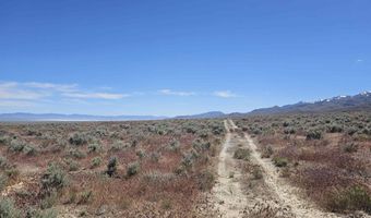 012-050 30 Coyote Canyon Lot 012-050-30, Imlay, NV 89418