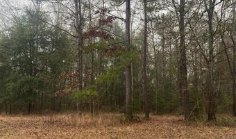 510 Wallace Ct, Autaugaville, AL 36003