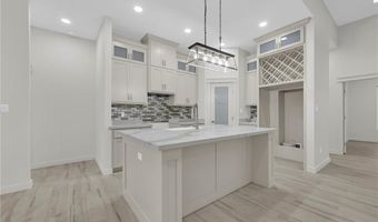 1007 Broken Arrow Dr, Alamo, TX 78516