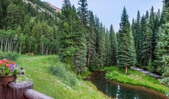 27 33 Fall Crk, Aspen, CO 81611