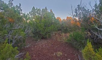 1 COUNTY ROAD N8155, Concho, AZ 85924