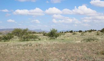 Tract 32 Sierra La Rana, Alpine, TX 79830